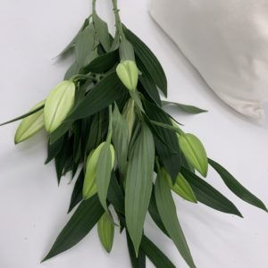 Lilien im Schnitt